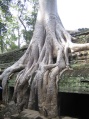 Angkor Thom - Cambodia